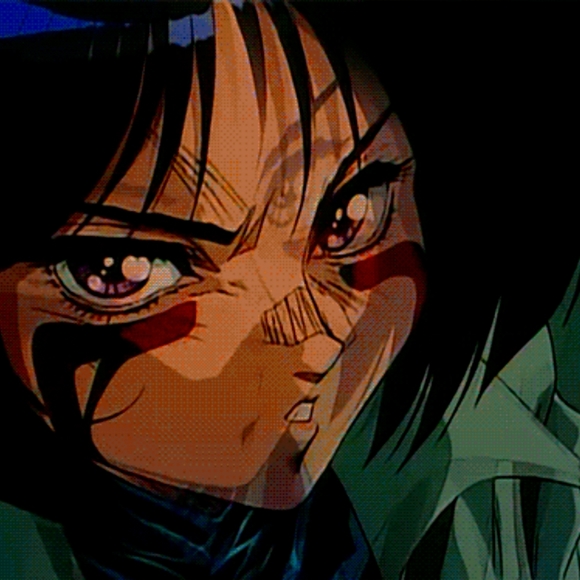 Meet your Posher, Logan - Picture 1 of 2